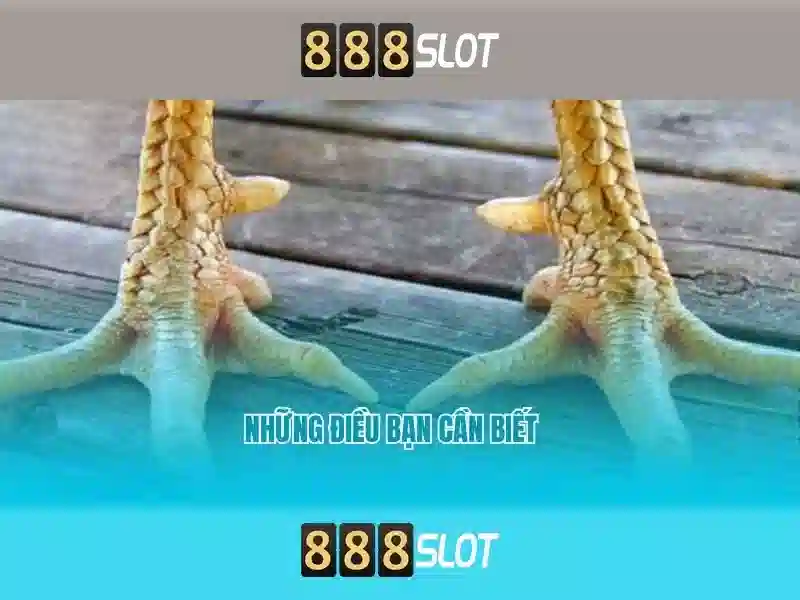 💎zara online gaming slots💎 💎zara online gaming slots💎