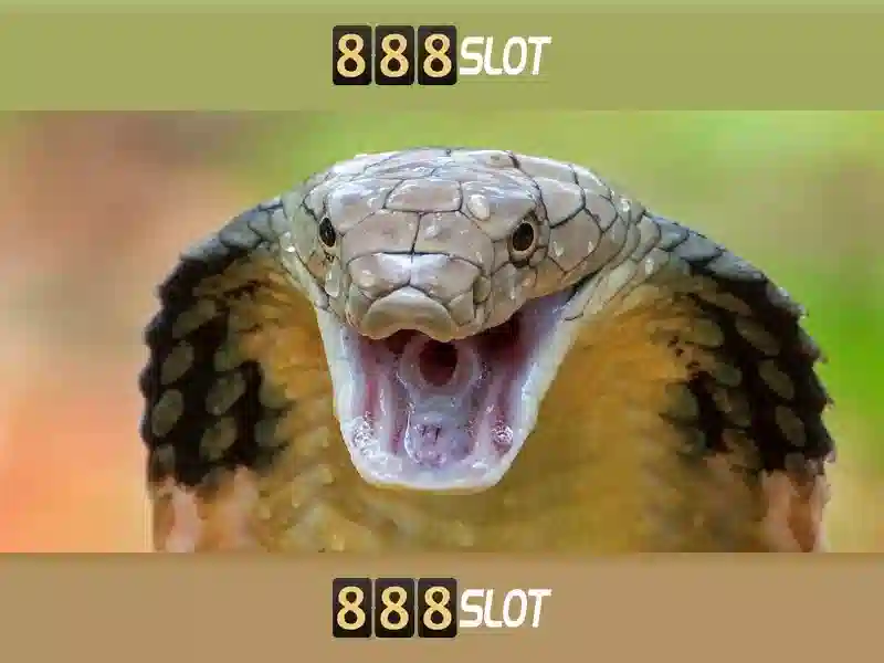 💎7 cái nhất của động phong nha💎 💎7 cái nhất của động phong nha💎