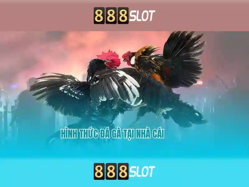 💎samba slots deposit💎 💎samba slots deposit💎