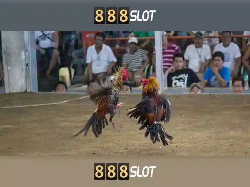 💎kèo nhà cái 5 manipuhub💎 💎kèo nhà cái 5 manipuhub💎