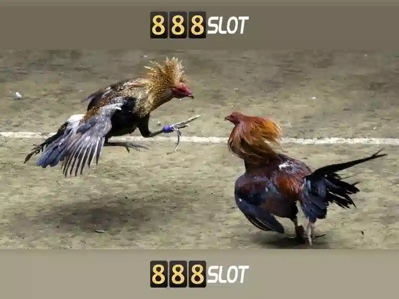 💎gonzo quest slot💎 💎gonzo quest slot💎