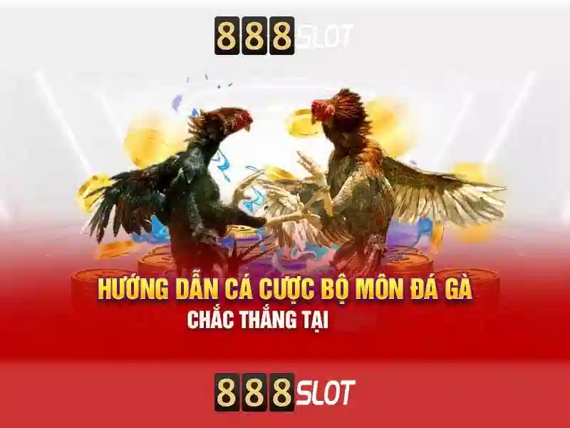 888slot - Đánh Giá Toàn Diện Nền Tảng Casino Trực Tuyến An Toàn & Uy Tín 888slot - Đánh Giá Toàn Diện Nền Tảng Casino Trực Tuyến An Toàn & Uy Tín