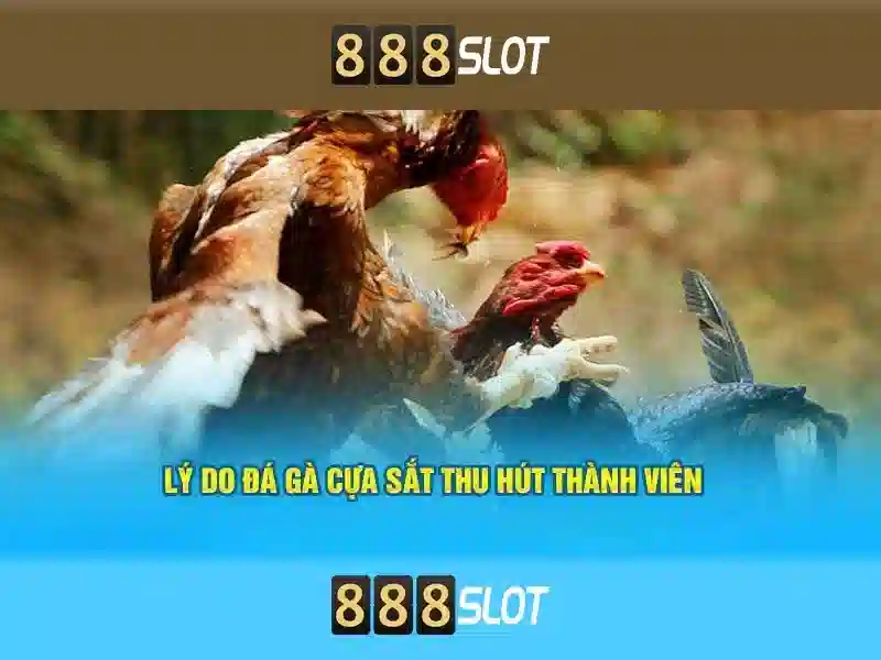💎8xbet trang web cá cược💎 💎8xbet trang web cá cược💎