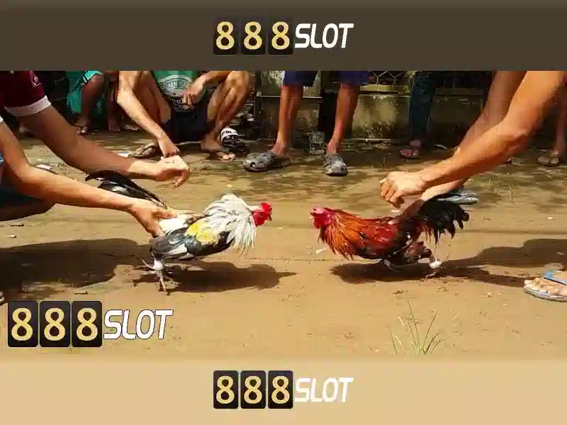 💎mơ thấy đánh bạc ăn tiền💎 💎mơ thấy đánh bạc ăn tiền💎