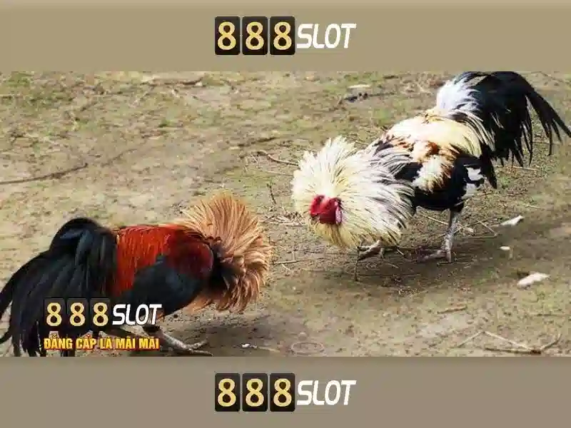 💎big. bass. bonanza. slots.💎 💎big. bass. bonanza. slots.💎