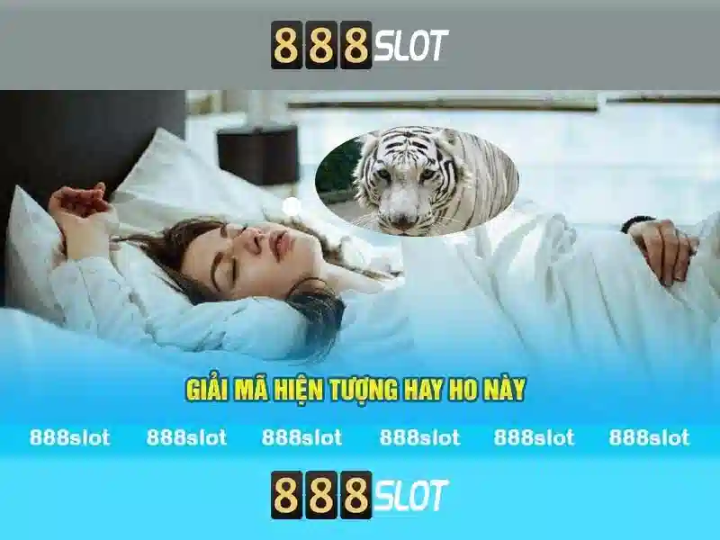 💎large slot car tracks💎 💎large slot car tracks💎