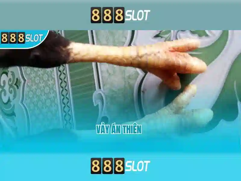 💎top nhà cái cá cược liên minh huyền💎 💎top nhà cái cá cược liên minh huyền💎