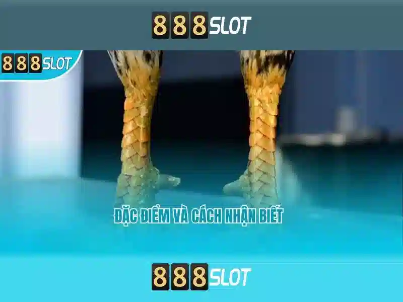 💎luchadora slot💎 💎luchadora slot💎