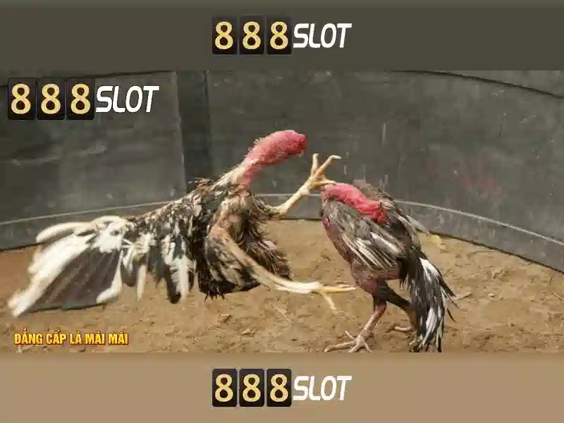 💎vegas crest casino slots💎 💎vegas crest casino slots💎