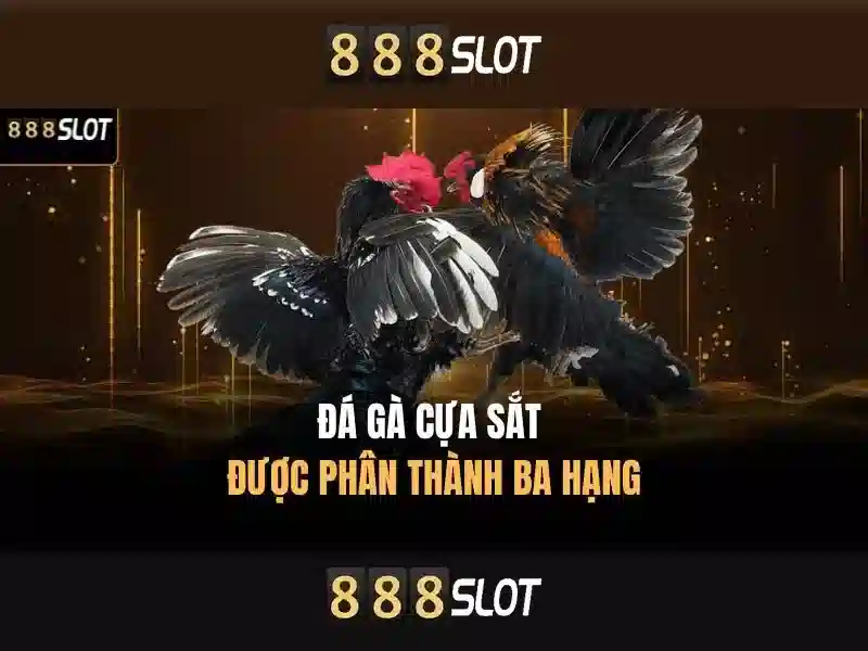 💎những trang nhà cái uy tín💎 💎những trang nhà cái uy tín💎