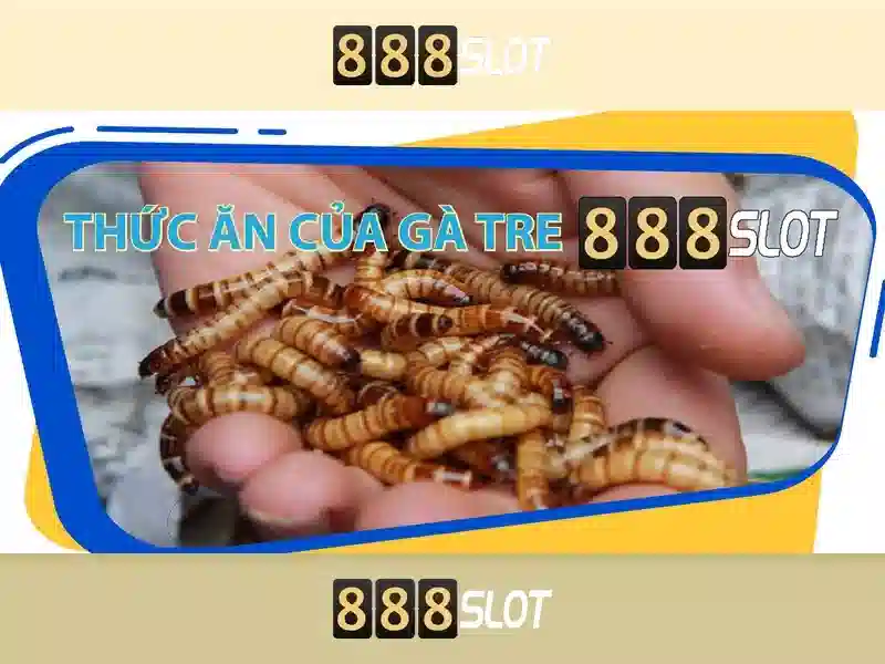 💎kèo nhà cái 365.com.vn💎 💎kèo nhà cái 365.com.vn💎