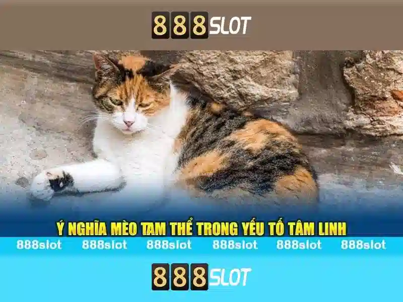 💎kèo cá cược world cup tối nay💎 💎kèo cá cược world cup tối nay💎