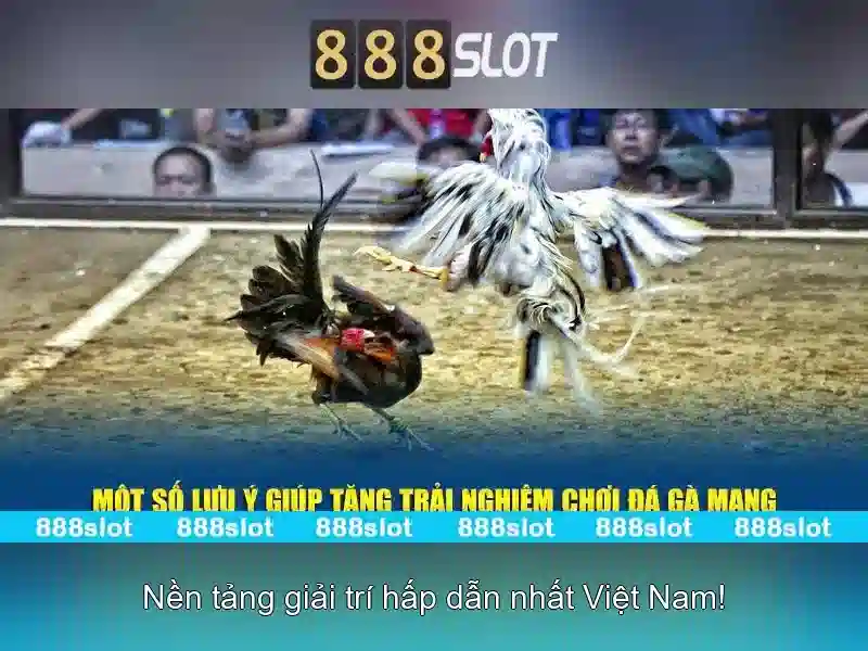 💎fun88 link vào nhà cái nhanh nhất💎 💎fun88 link vào nhà cái nhanh nhất💎