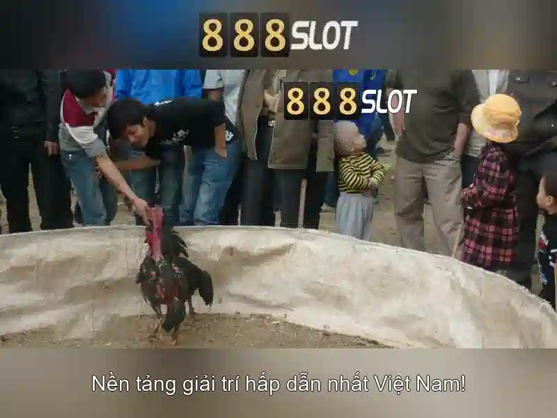 💎kèo nhà cái olympic nhật bản💎 💎kèo nhà cái olympic nhật bản💎