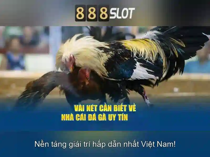 💎ty lệ kèo nhà cai💎 💎ty lệ kèo nhà cai💎